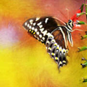 Butterflies Are Self Propelled Flowers Poster