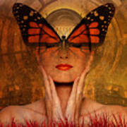 Butterfly Brilliance At The Red Grass Castle Poster