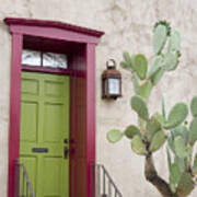 Cactus And Doorway Poster