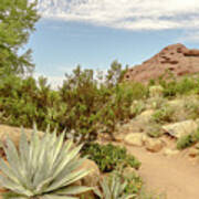 Cactus Trail Poster