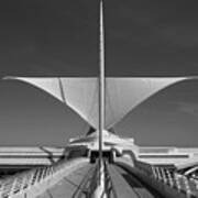 Calatrava Symmetry Poster