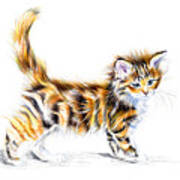 Calico Kitten Poster