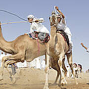 Camel Race Poster