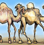 Camels Poster