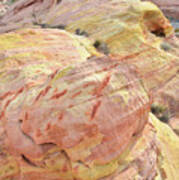 Candy Colored Sandstone In Valley Of Fire Poster