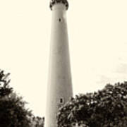 Cape May Lighthouse In Sepia Poster