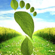 Carbon Footprint - Doc Braham - All Rights Reserved Poster