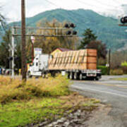 Cardboard Bales In Van Zandt Poster