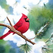 Cardinal In Winter Poster