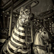 Carousel Zebra Poster