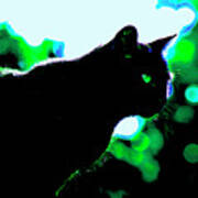 Cat Bathed In Green Light Poster