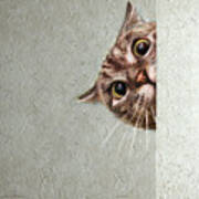 Cat Spy Poster