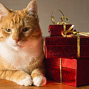 Cat With Gifts Poster