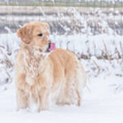 Catching Snowflakes Poster