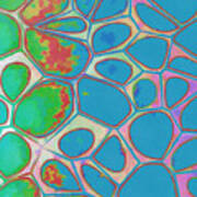 Cells Abstract Three Poster
