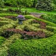 Celtic Topiary At Frelinghuysen Arboretum Poster