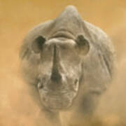Charging Rhino Poster