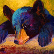 Chasing Bugs - Black Bear Cub Poster