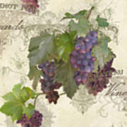 Chateau Pinot Noir Vineyards - Vintage Style Poster