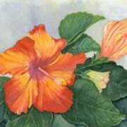 Cheerfully Yours - Hibiscus Watercolor Poster