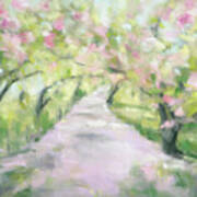 Cherry Blossom Bridle Path Central Park Poster