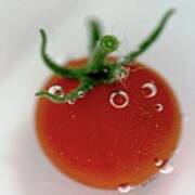 Cherry Tomato In Water Poster