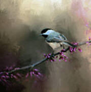Chickadee In The Light Poster