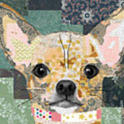Chihuahua Collage Poster