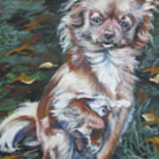 Chihuahua Long Haired Poster