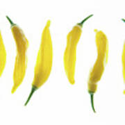 Chillies Lined Up Ii Poster