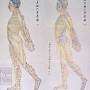 Chinese Chart Of Acupuncture Points Poster