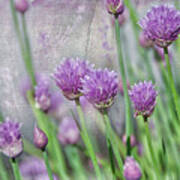 Chives In Texture Poster