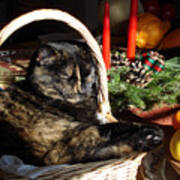 Christmas Cat Basket Poster