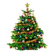 Christmas Tree 1417 Poster
