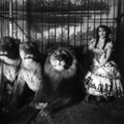 Circus, Lion Tamer, C1899. Poster
