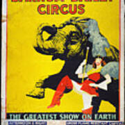 Circus Poster, C1950 Poster