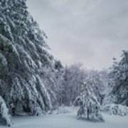 Classic Winter Scene In New England Poster