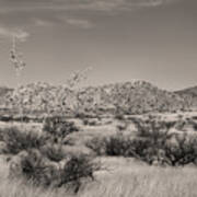 Clear Arizona Morning Monochrome Poster