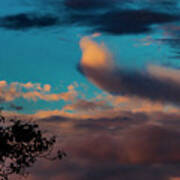 Clouds Sky And Trees At Sunset Poster