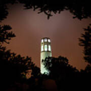 Coit Tower Through The Trees Poster