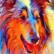 Collie Watercolor Poster