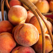 Colorado Peaches In Basket Poster