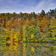 Colorful Autumn Trees Poster