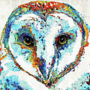 Colorful Barn Owl Art - Sharon Cummings Poster