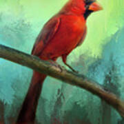 Colorful Cardinal Poster