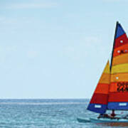 Colorful Catamaran 5 Delray Beach Florida Poster
