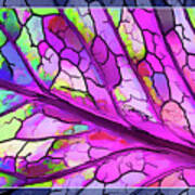 Colorful Coleus Abstract 3 Poster