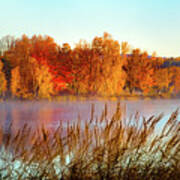 Colorful Dawn On Haley Pond Poster