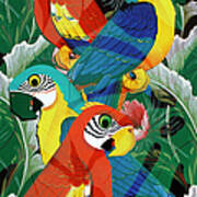 Parrot Art Prints - Introverted Parrots Poster