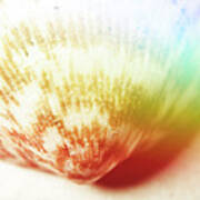 Colorful Light Flare Over Seashell Poster